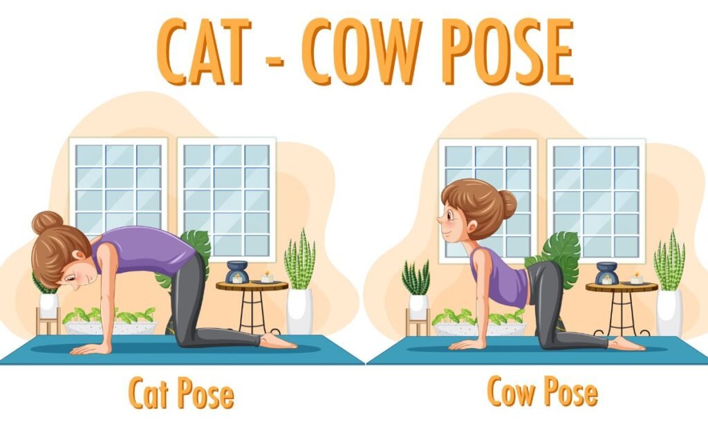 Cat-Cow Stretch (Marjaryasana-Bitilasana)